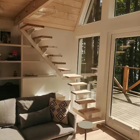 Holiday home Kaszuby, Borkowo, Lesny Domek