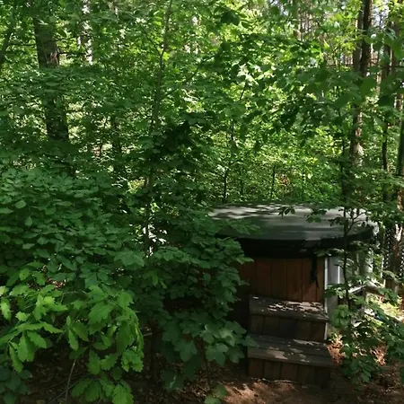 Kaszuby, Borkowo, Lesny Domek Holiday home *