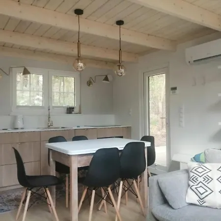 Kaszuby, Borkowo, Lesny Domek Holiday home *