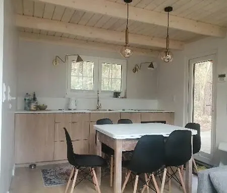 Holiday home Kaszuby, Borkowo, Lesny Domek Borkowo Leborskie
