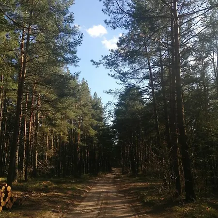 Kaszuby, Borkowo, Lesny Domek Holiday home *