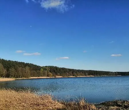 Holiday home Kaszuby, Borkowo, Lesny Domek